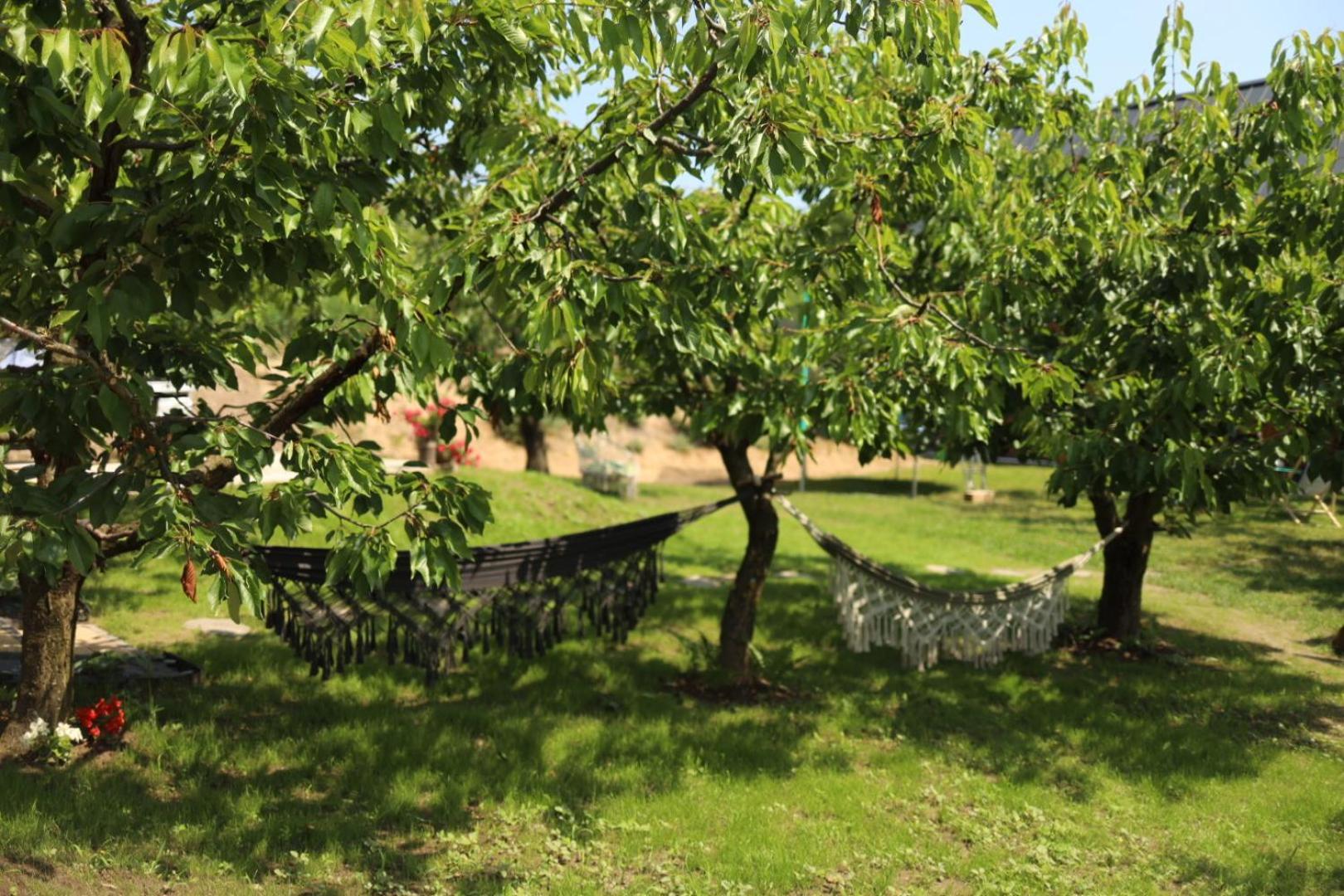 Holiday home Czeresniowe Wzgorze Jakuzzi Sandomierz